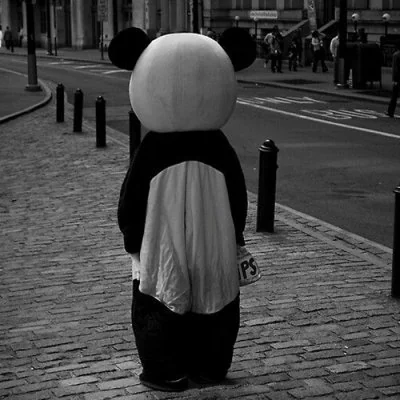 Lonely Panda Costume Street Alone Dp