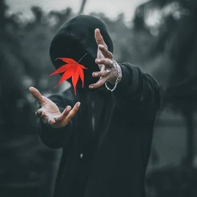 Attitude Dp