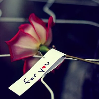 Red Rose For You Tag Love Dp