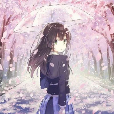 Girl Umbrella Cherry Blossom Path Cute Dp