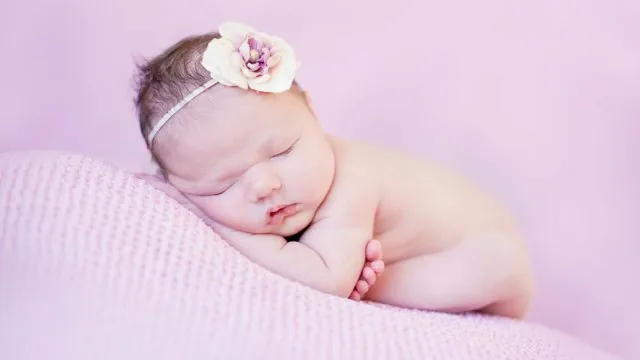 Sleeping Newborn Pink Flower Cute Wallpaper