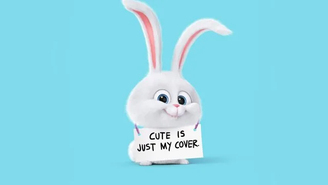 White Bunny Holding Sign Cute Wallpaper