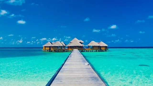Aesthetic Nature Wallpaper