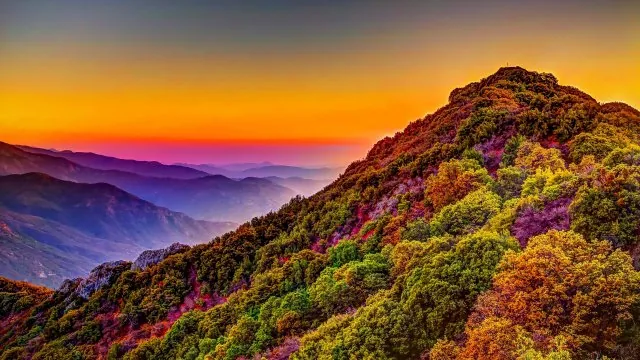 Autumn Ridge Vivid Sunset Nature Wallpaper