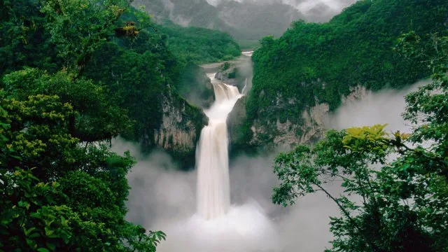 Misty Jungle Waterfall Nature Wallpaper