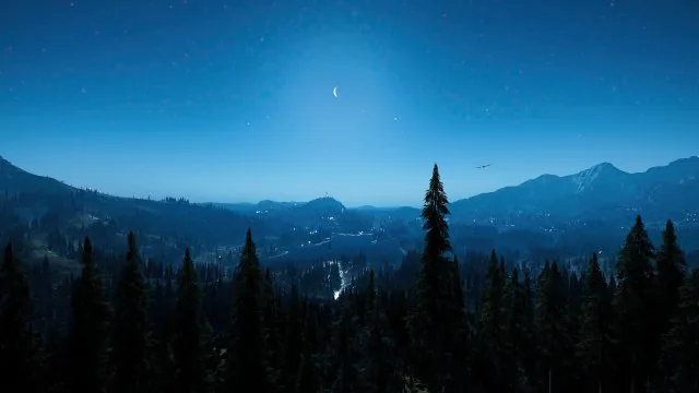 Moonlit Pine Valley Night Nature Wallpaper