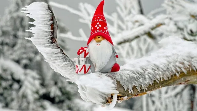 Santa Gnome Snowy Branch Nature Wallpaper