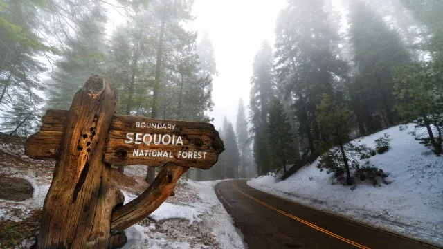 Sequoia Forest Boundary Sign Nature Wallpaper