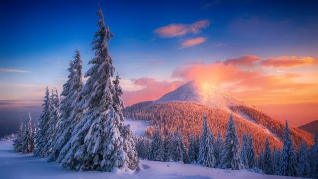 Snowy Pines Alpenglow Peak Nature Wallpaper