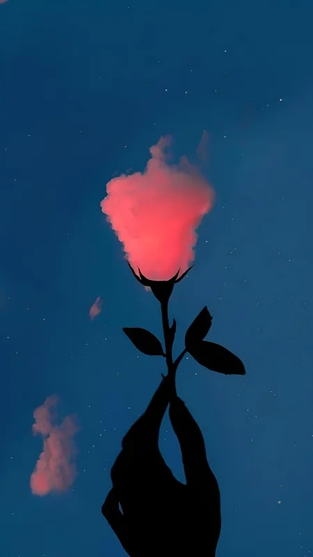 Flowers Aesthetic Wallpaper