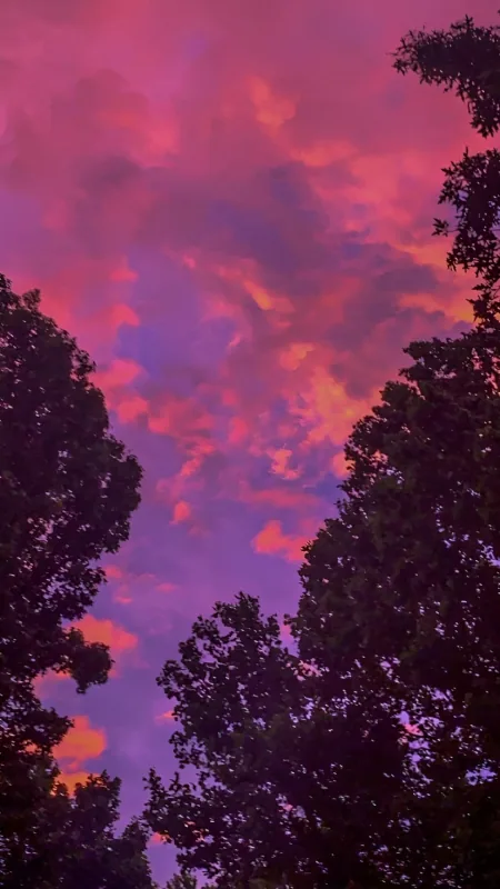 Cloud Aesthetic Sky HD Wallpaper
