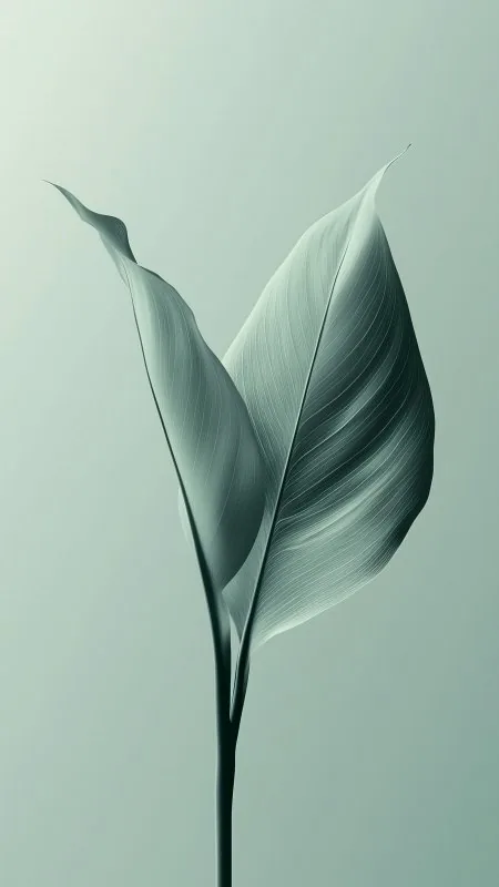 Plant Leaves Minimalism Aesthetic Wallpaper