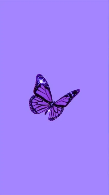 Aesthetic Purple Butterfly HD Wallpaper