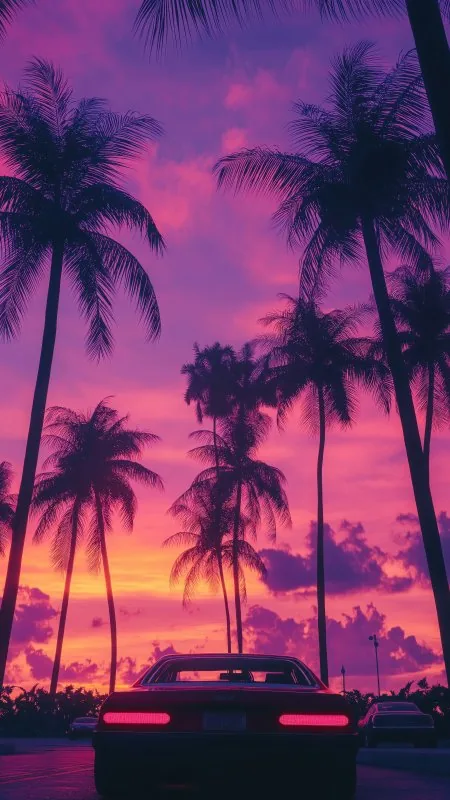 Car Tropics Palm Trees Sunset Dark Black Wallpaper