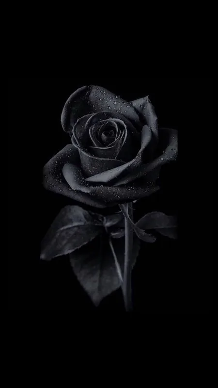 Flower Black Wallpaper