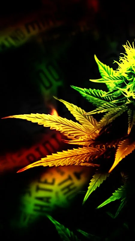 Rasta Glow Cannabis Leaf Black Wallpaper