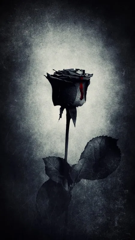 Black Wallaper Wallpaper