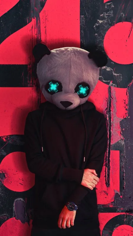 Panda Mask Boy HD Cool Wallpaper