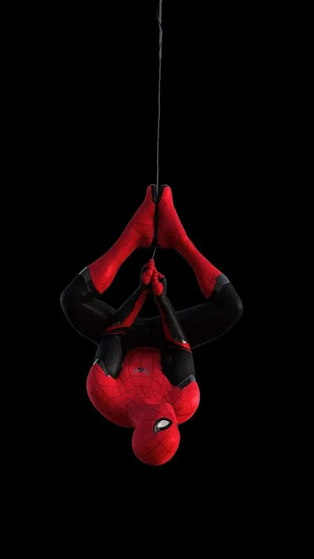 Spider Man Web Hang Cool Wallpaper