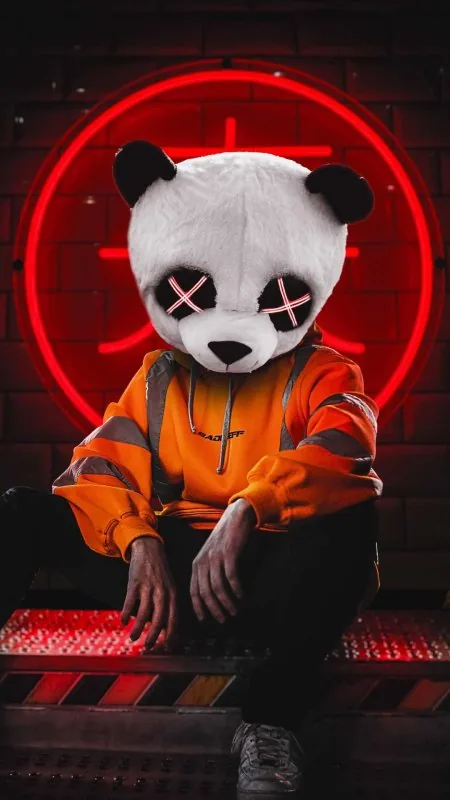 Stylish Panda Mask HD Cool Wallpaper