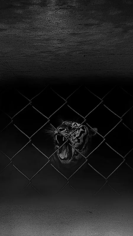 Wild Black Cool Wallpaper