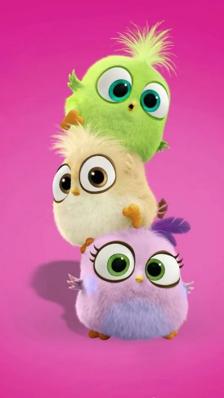 Cute Bird Wallpaper