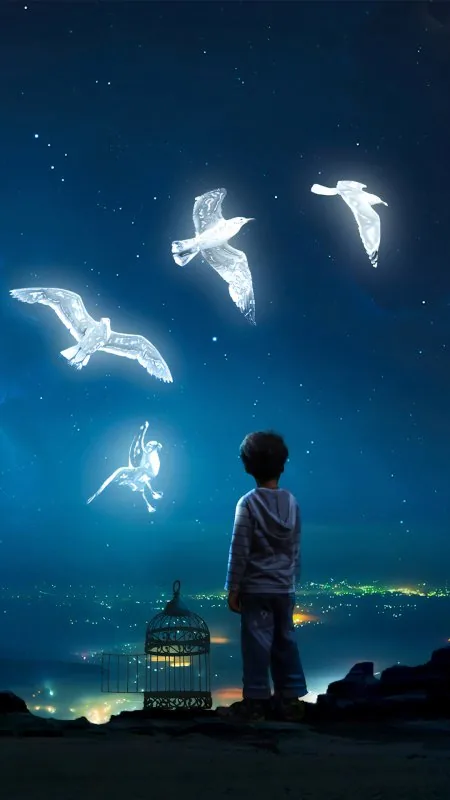 Boy Watching Glowing Birds Cute Wallpaper