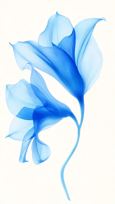Flowers Abstract Blue Petals Wallpaper