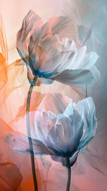 Abstract Visualisation Flowers HD Wallpaper