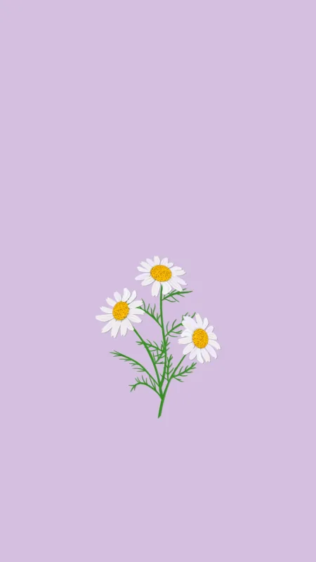 Aesthetic White Flower Wallpaper