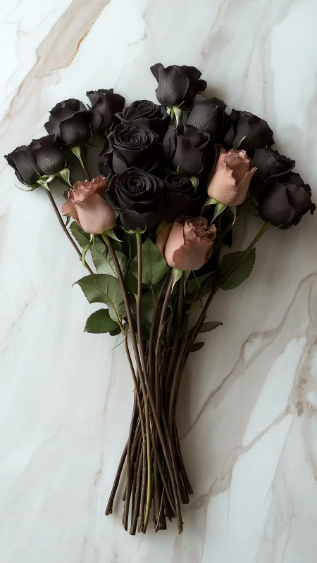 Black Roses Contrasted Flowers Wallpaper