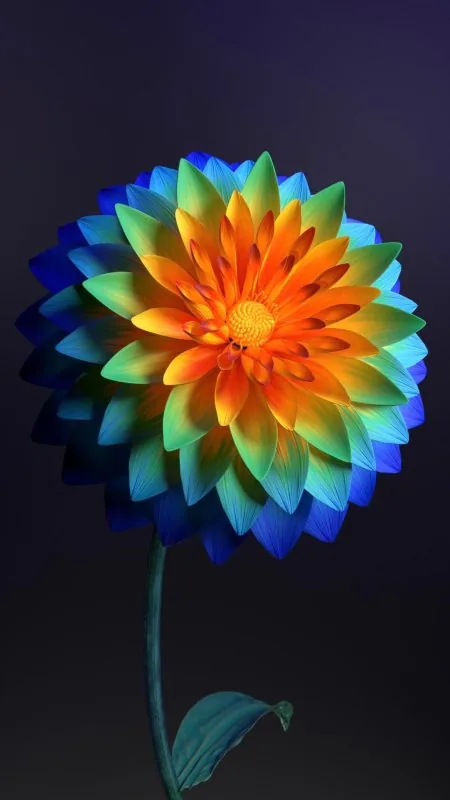 Flora Flower Plant Petal Wallpaper
