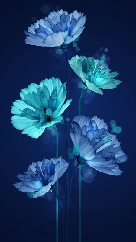 Glowing Teal Blooms Navy Flowers Wallpaper