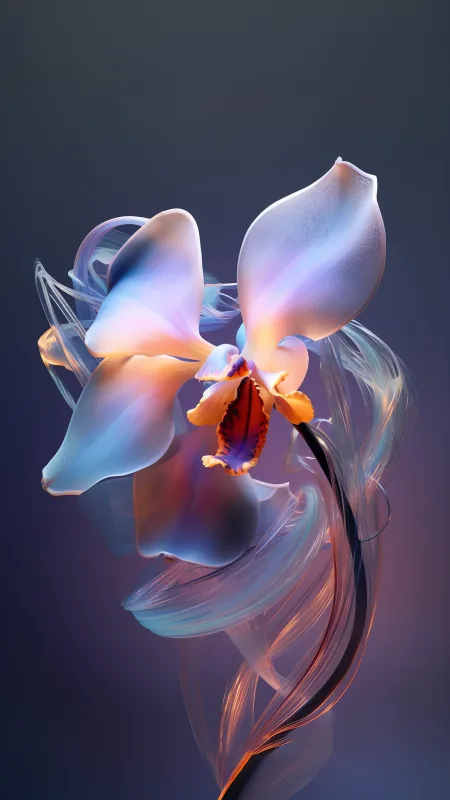 Flowers Orchid Wallpaper