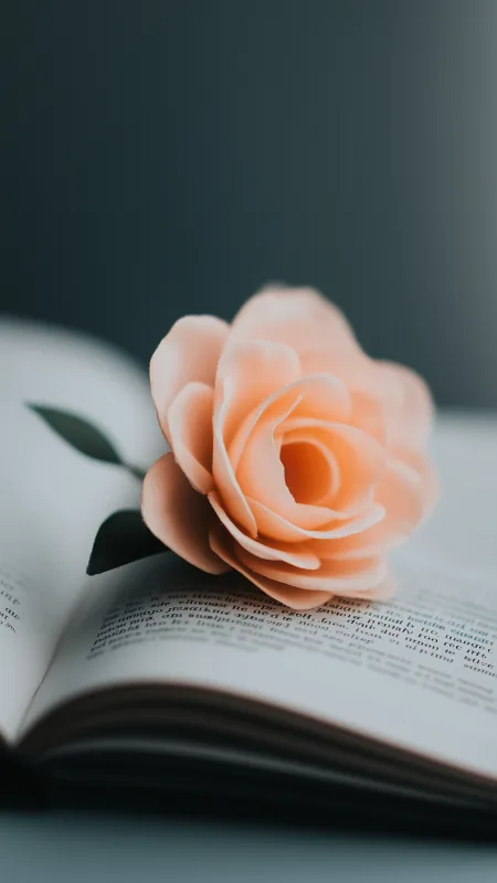 Pink Flower HD Wallpaper