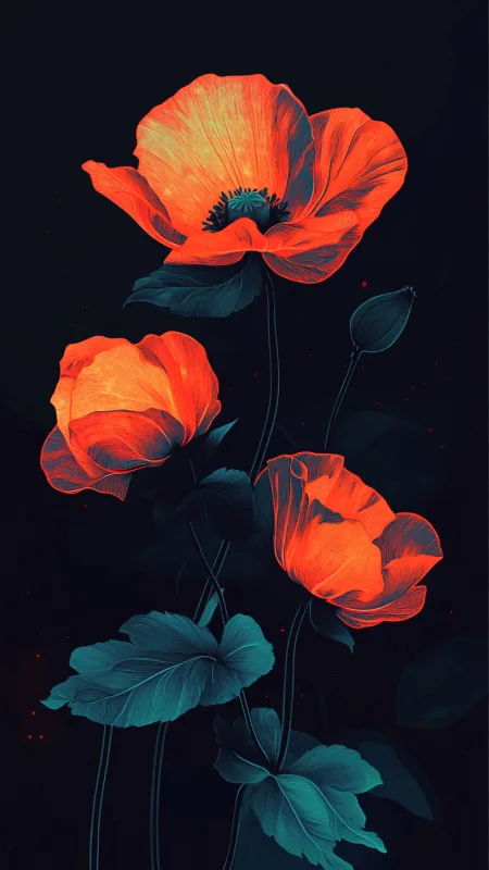 Poppy Flower HD Wallpaper