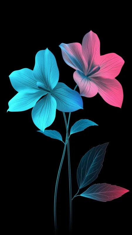 Poppy Flower Wallpaper