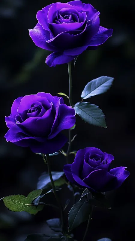 Purple Flowers Phone Wallpaper