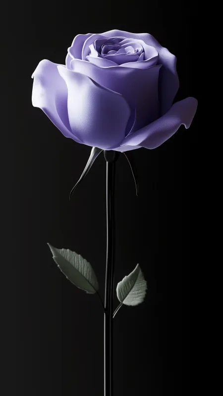 Purple Rose Flowers Wallpaper