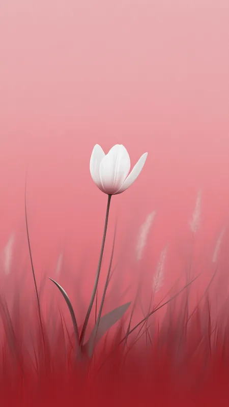 White Flowers Wallpaper
