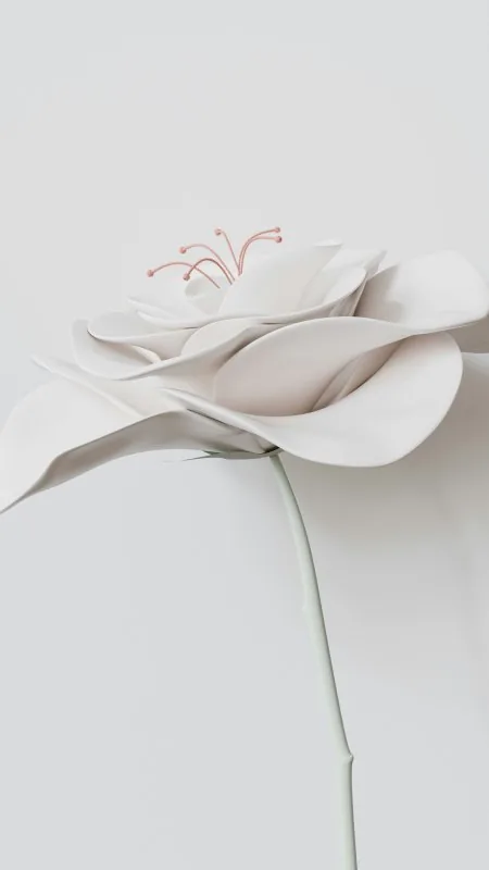 Flowers White Wallpaper