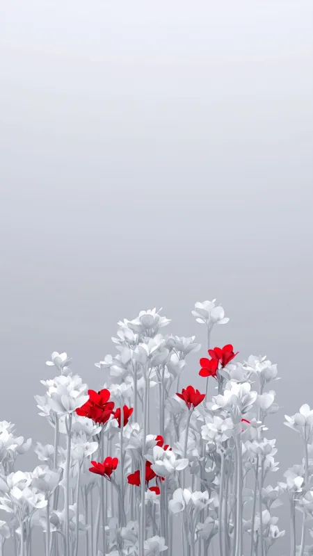 White And Red Flowers Phone Wallpaper