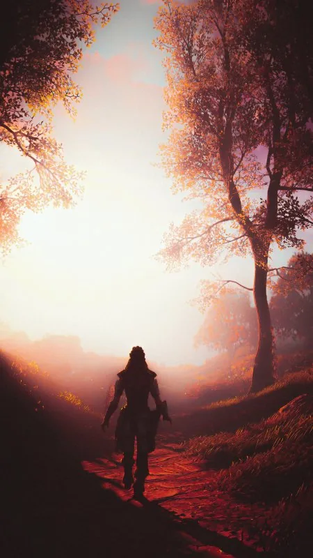 Shadow Owers HD Gaming Wallpaper