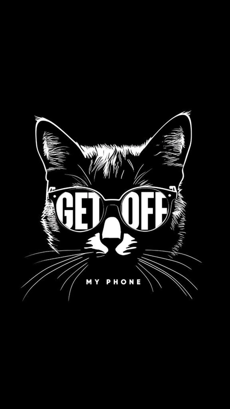Get Off My Phone Cat Wallpaper
