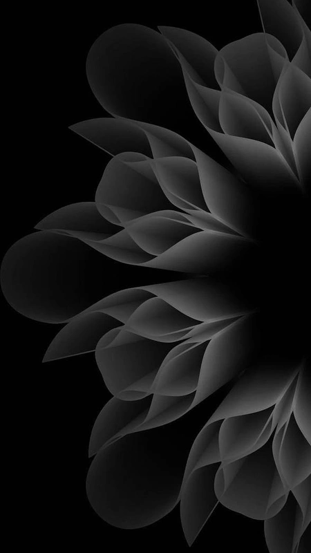 Grey Bloom Petals Wallpaper