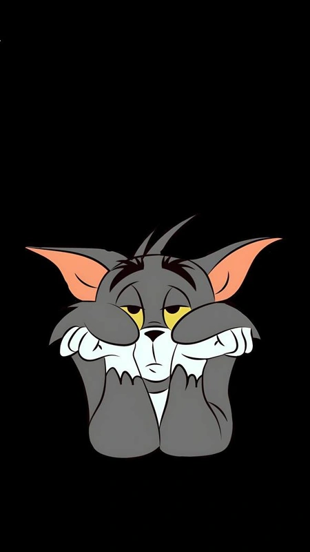 Grumpy Grey Cat Wallpaper