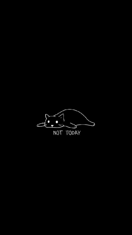 Lazy Cat Not Today Wallpaper