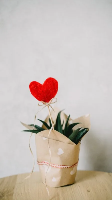 Red Heart Potted Plant Love Wallpaper