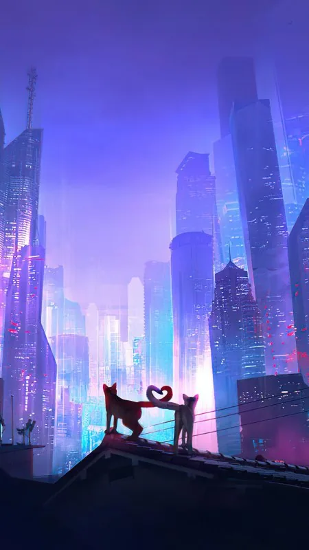 Love Season Of Cats Phone Wallpaper