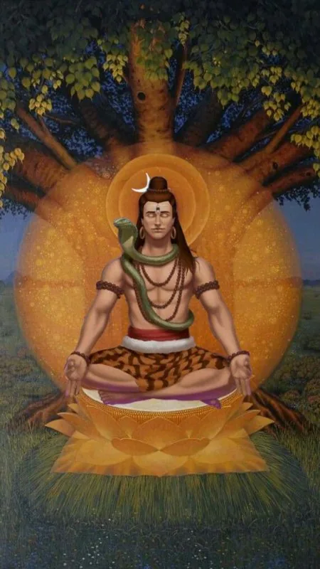 Shiva Meditating Under Banyan Mahadev Wallpaper